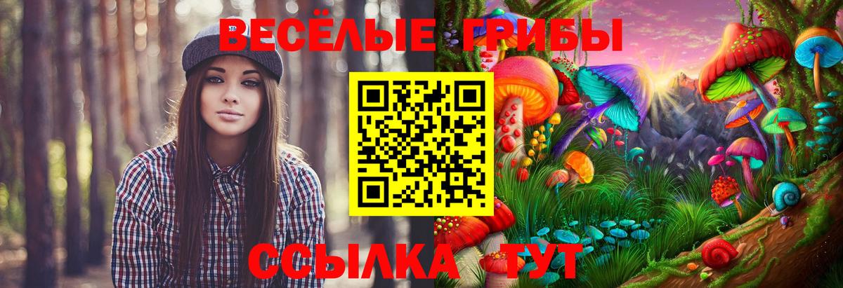Галлюциногенные грибы мицелий Прохладный