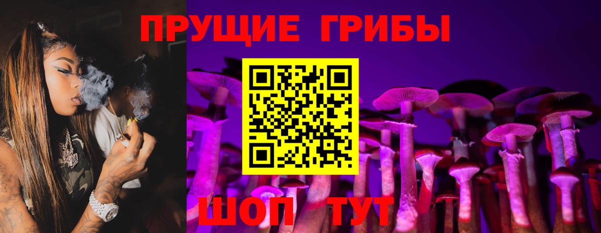 Псилоцибиновые грибы Psilocybe  Вход с VPN  Прохладный  Псилоцибиновые грибы прущие грибы 